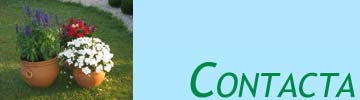 Contacta