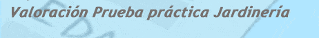 Valoraci&oacute;n Prueba Pr&aacute;ctica
