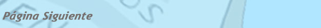 P&aacute;gina Siguiente