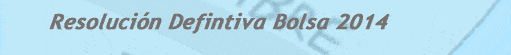 Bolsa Definitiva 2014